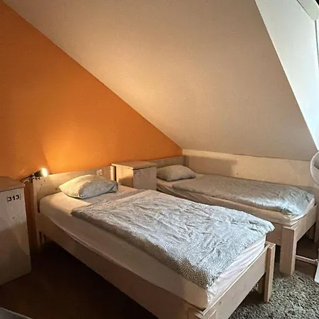 Hostel Simpl - Fully Renovated In 2026 *